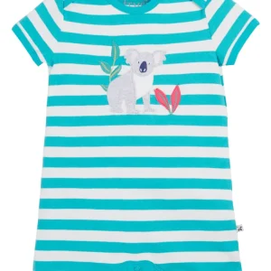 Body korta ben koala