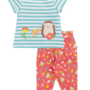 Tvådelat set igelkottar